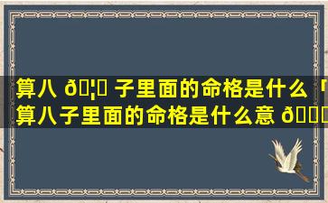 算八 🦈 子里面的命格是什么「算八子里面的命格是什么意 🍀 思」